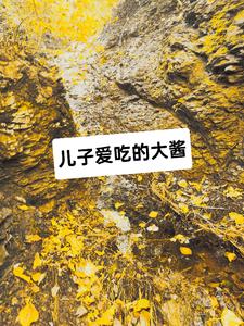 儿子爱吃的饭菜